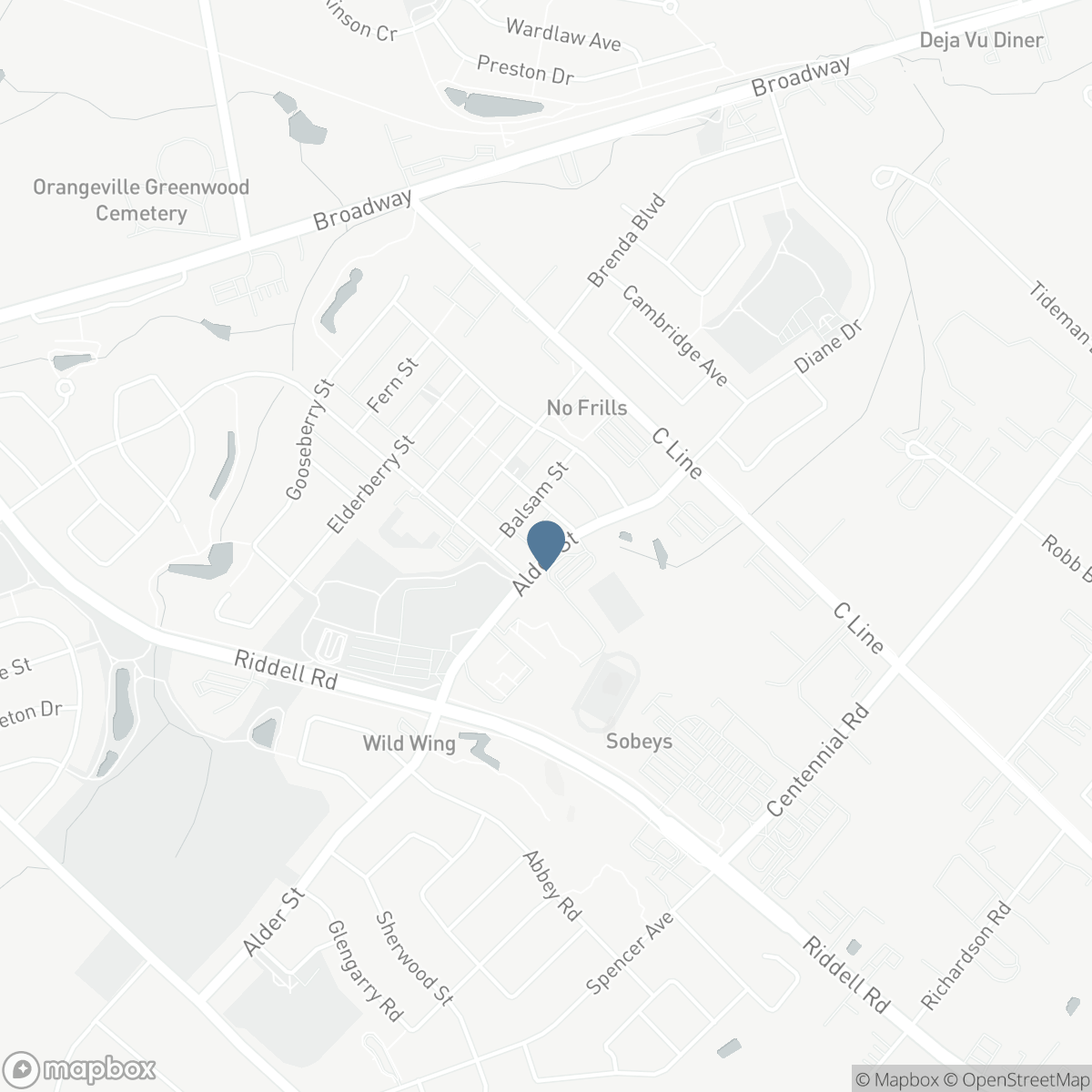 305 ALDER STREET, Orangeville, Ontario L9W 4X5